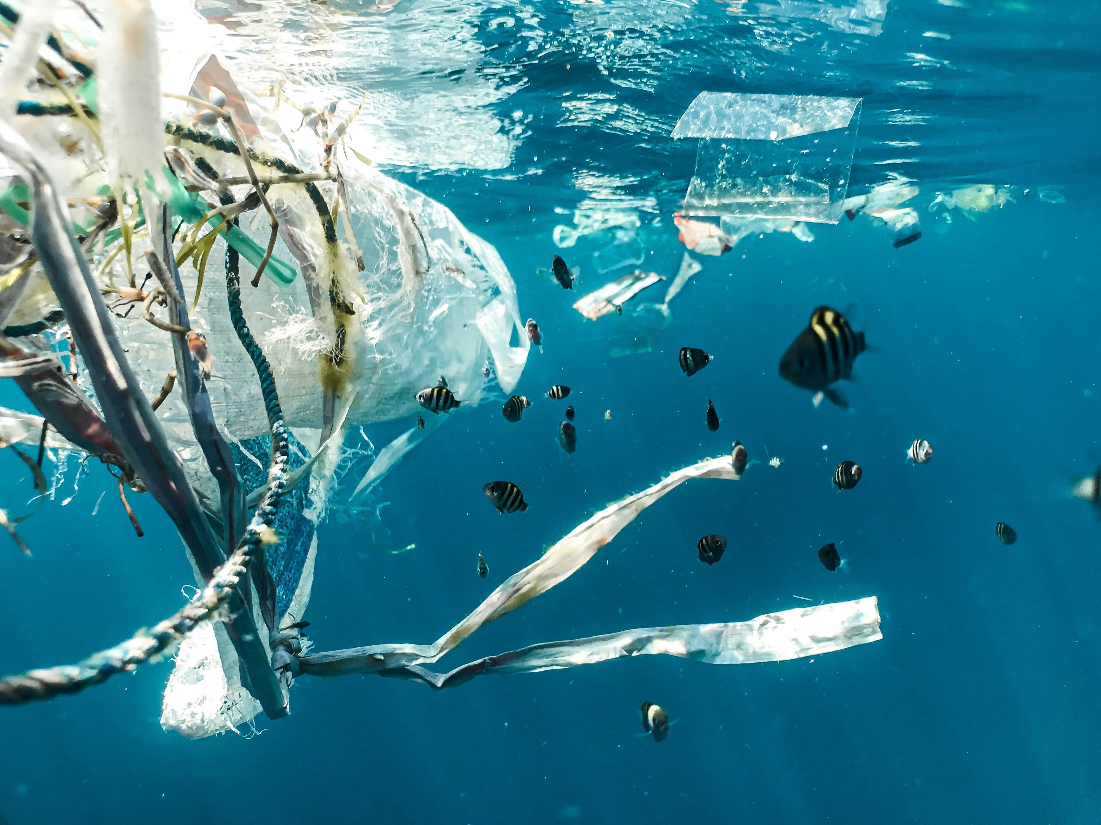 Migliaia di palline di plastica sul Poetto: il mistero dei "nurdle" ha una pista americana