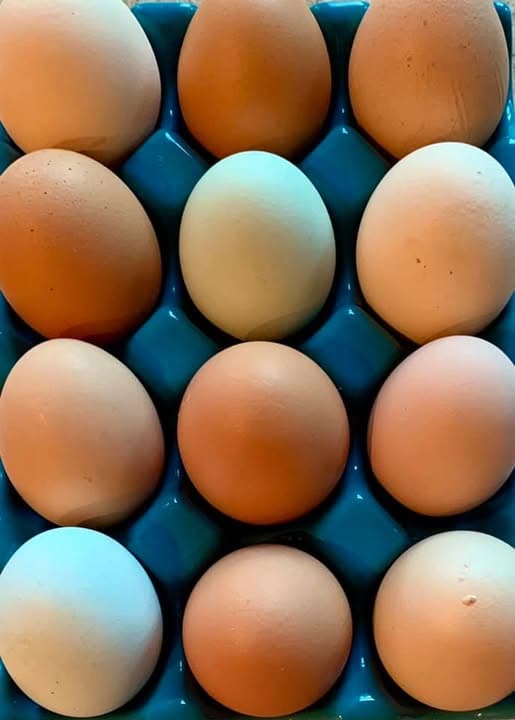 Cagliari, tre casi di salmonella: indagini in corso nei locali